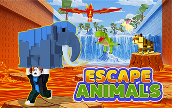 Animal Haven Dash