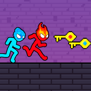 Duo Water and Fire Cooperative Puzzle Game