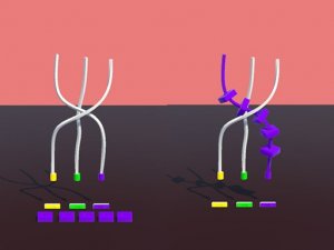 Twisted Rods Puzzle Game