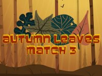 Fall Leaves Match 3 Puzzle