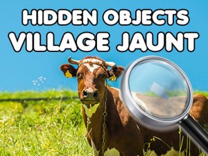 Village Hidden Object Quest