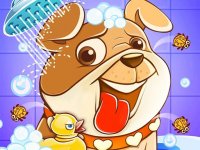 Animal Care Pet Daycare