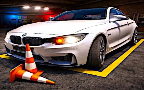 Precision Parking 3D Driving Simulator
